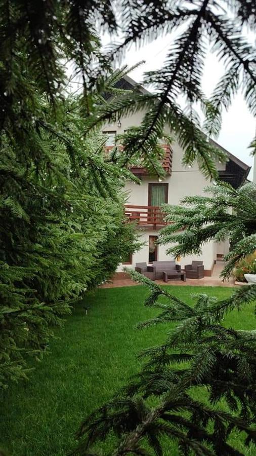 Pensiunea Antonio Bran Bran  Dış mekan fotoğraf