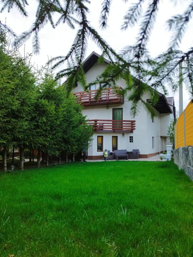 Pensiunea Antonio Bran Bran  Dış mekan fotoğraf