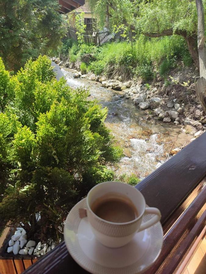 Pensiunea Antonio Bran Bran  Dış mekan fotoğraf