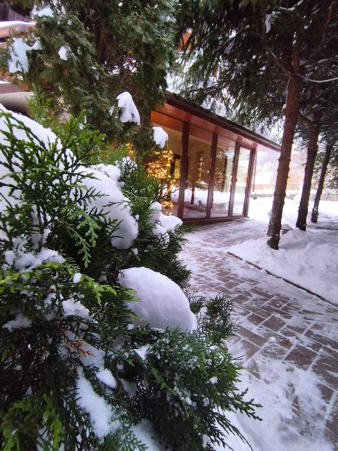 Pensiunea Antonio Bran Bran  Dış mekan fotoğraf